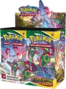 Evolving Skies Booster box
